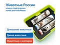 Природные богатства России с РобоМышью (с системой хранения)