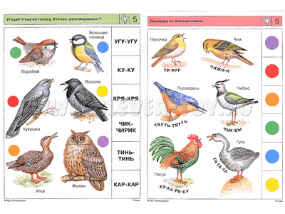 ЛОГИКО-Малыш. Мир природы. Птицы (набор карточек для планшета)