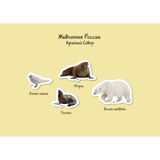 Магнитные карточки Животные России (87 животных)