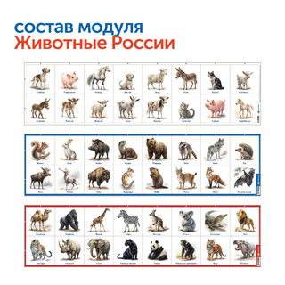 Природные богатства России с РобоМышью с системой хранения (4 робота)